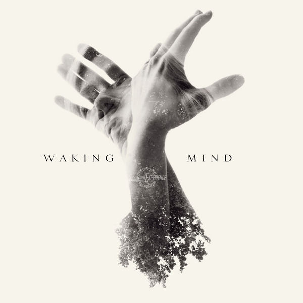The Wormhole Experience|Waking Mind The Wormhole Experience|Waking Mind