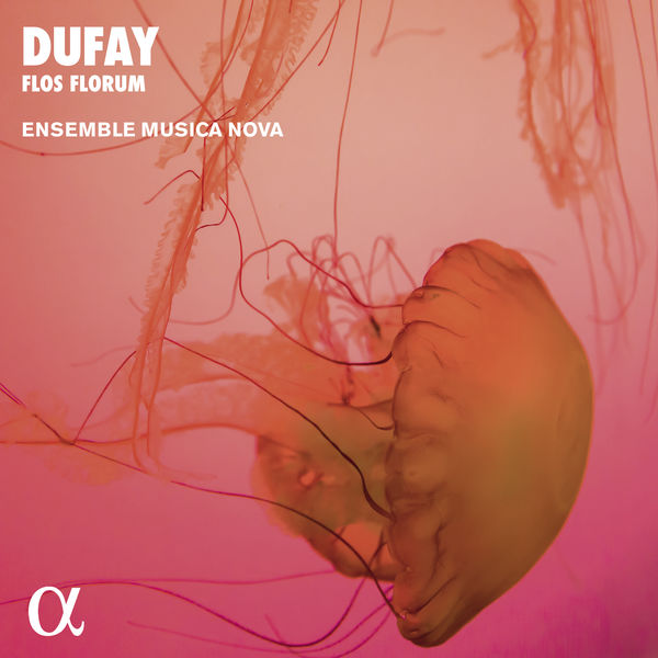 Ensemble Musica Nova - Dufay: Flos Florum. Motets, Hymns, Antiphons (Alpha Collection) Ensemble Musica Nova - Dufay: Flos Florum. Motets, Hymns, Antiphons (Alpha Collection)