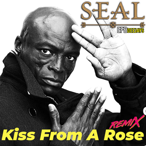 Seal|Kiss From A Rose (Remix)