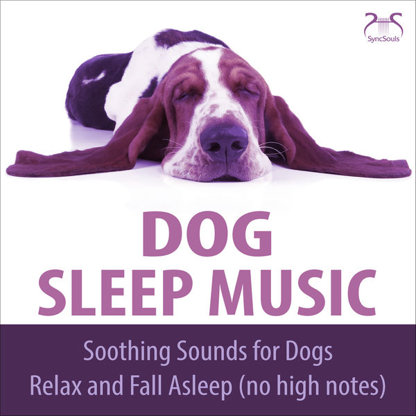 Dog Music TA - Dog Sleep Music - Soothing Sounds for dogs, relax and fall asleep (no high notes) Dog Music TA - Dog Sleep Music - Soothing Sounds for dogs, relax and fall asleep (no high notes)
