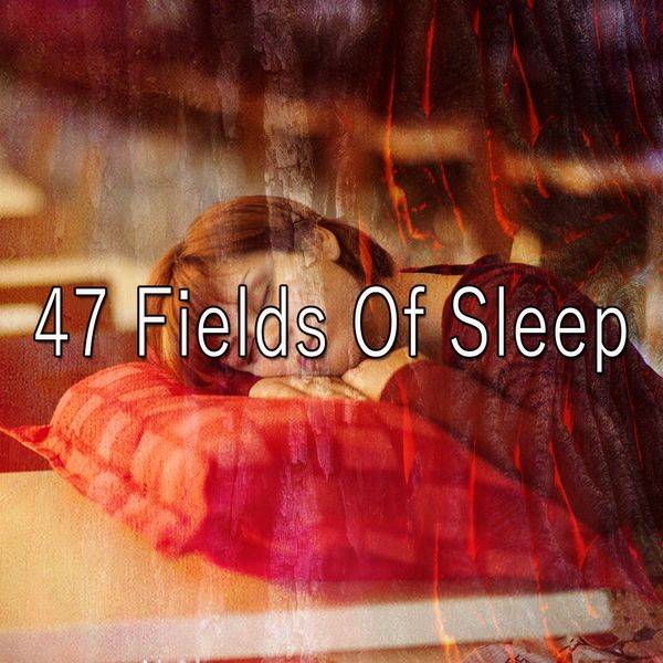 Bedtime Baby - 47 Fields of Sleep Bedtime Baby - 47 Fields of Sleep