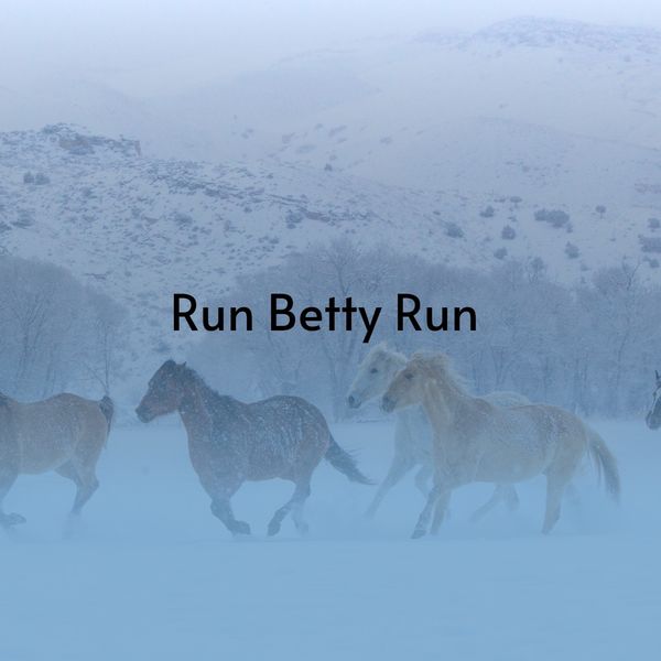 Various Artists - Run Betty Run Various Artists - Run Betty Run