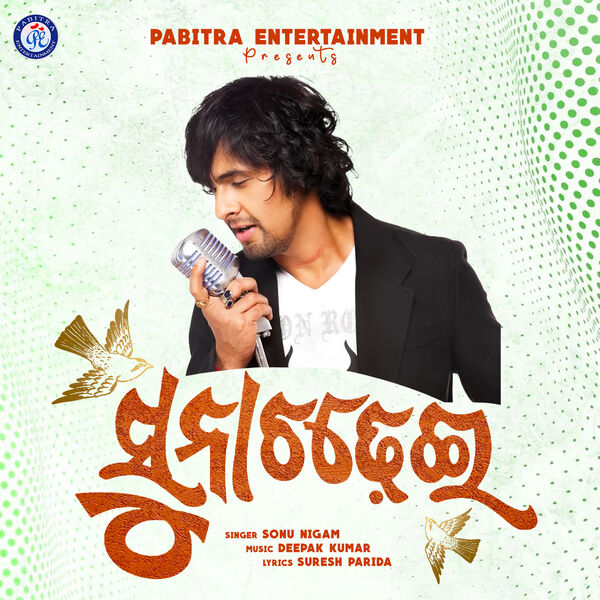 Suna Chadhei Odia Movie Odia Suna Chadhei Tuma Suna Chadhei Most