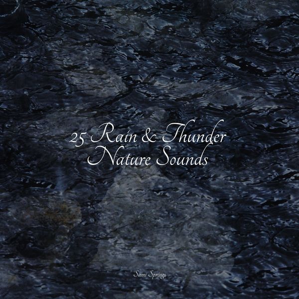 Sonidos De Lluvia y Tormentas|25 Rain & Thunder Nature Sounds Sonidos De Lluvia y Tormentas|25 Rain & Thunder Nature Sounds
