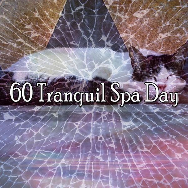 Musica para Dormir Dream House - 60 Tranquil Spa Day Musica para Dormir Dream House - 60 Tranquil Spa Day