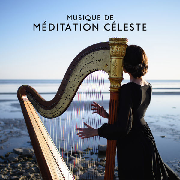 Buddhist méditation académie|Musique de méditation céleste (Mélodies de harpe et de piano pour la méditation et la guérison, Sentez-vous frais et détendu, Passerelle vers le moment présent)