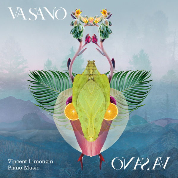Vincent Limouzin|Va Sano Vincent Limouzin|Va Sano