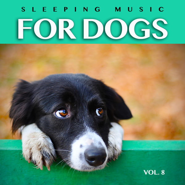 music for dogs ears