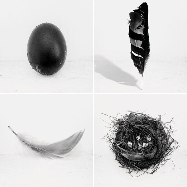 Lady Blackbird|The Singles Lady Blackbird|The Singles