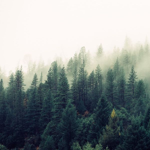 Ocean Sounds - Spring 2020 Relaxing Rain Sounds for Serenity, Sleep and Serenity Ocean Sounds - Spring 2020 Relaxing Rain Sounds for Serenity, Sleep and Serenity