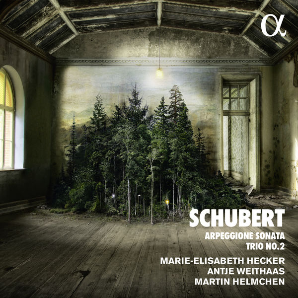 Martin Helmchen|Schubert : Arpeggione Sonata & Trio No. 2 Martin Helmchen|Schubert : Arpeggione Sonata & Trio No. 2