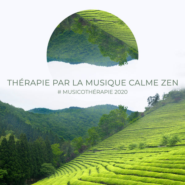 Musique pour Détendre en Temps Libre|Thérapie par la musique calme Zen (# Musicothérapie 2020, Trouble du sommeil, Nervosité et stress)