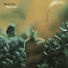 Steely Dan Katy Lied