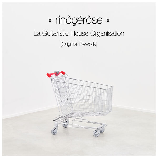 Rinôcérôse - La Guitaristic House Organisation (original rework) Rinôcérôse - La Guitaristic House Organisation (original rework)