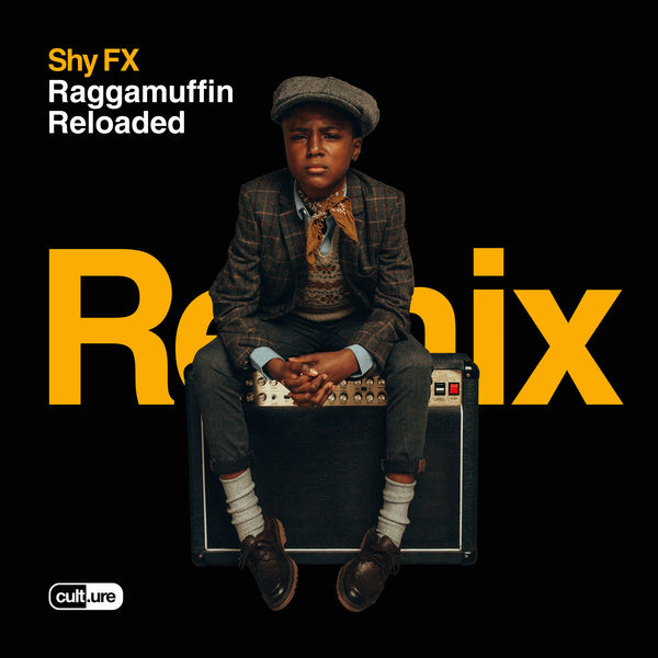 Shy FX|Call Me (feat. Maverick Sabre)  (Acoustic Remix)