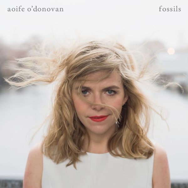 Aoife O'Donovan|Fossils