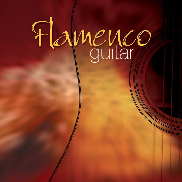 The Sign Posters - Flamenco Guitar The Sign Posters - Flamenco Guitar