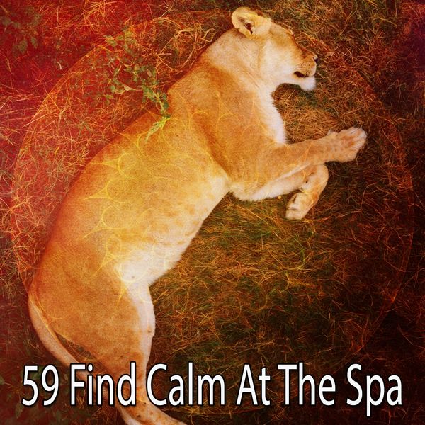 Relaxing With Sounds of Nature and Spa Music Natural White Noise Sound Therapy - 59 Find Calm at the Spa Relaxing With Sounds of Nature and Spa Music Natural White Noise Sound Therapy - 59 Find Calm at the Spa