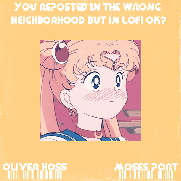Oliver Hoss|You Reposted in the Wrong Neighborhood but in Lofi OK? Oliver Hoss|You Reposted in the Wrong Neighborhood but in Lofi OK?