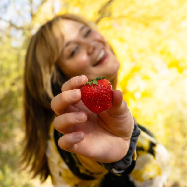 Haley Rose|Strawberry Chapstick Haley Rose|Strawberry Chapstick