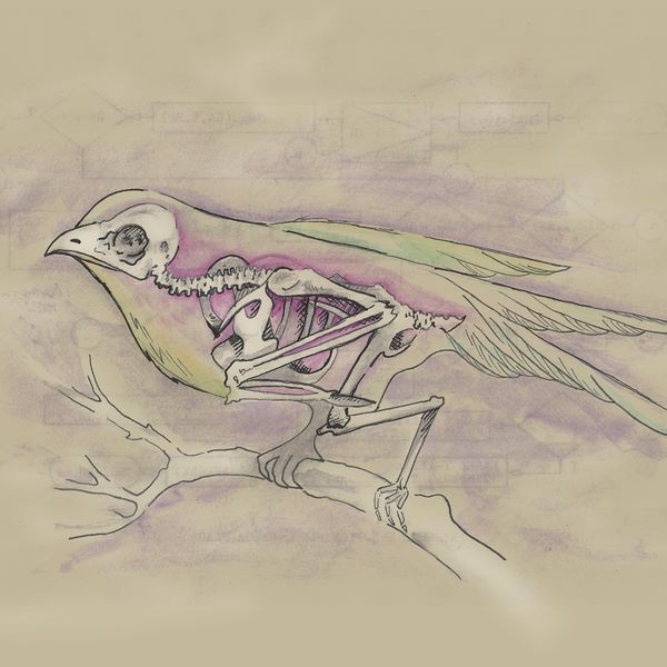 Folk Is People - Ghost Birdie Folk Is People - Ghost Birdie