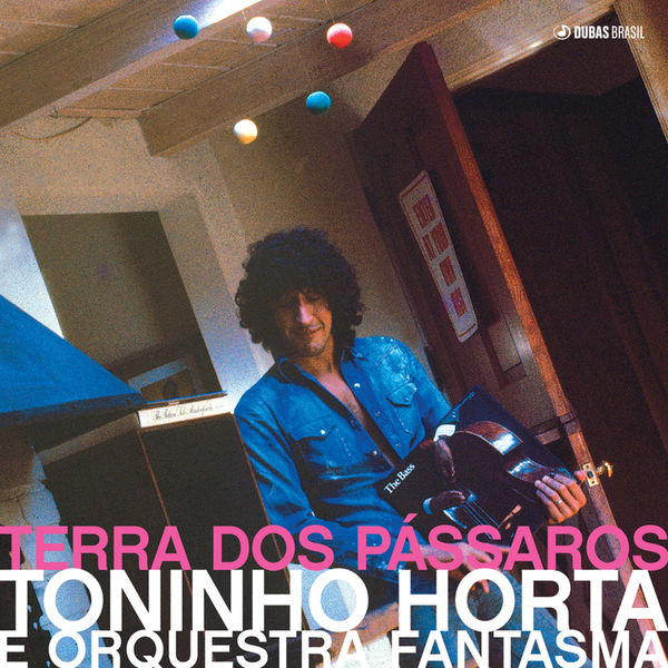 Album Terra Dos Passaros Toninho Horta Qobuz Download And Streaming In High Quality qobuz