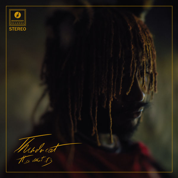 Thundercat - It Is What It Is Thundercat - It Is What It Is