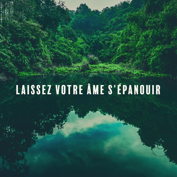 Oasis de sommeil|Laissez votre âme s'épanouir (Surmontez votre insomnie avec des mélodies de la nature, Dormez bien et fleurissez comme une fleur)