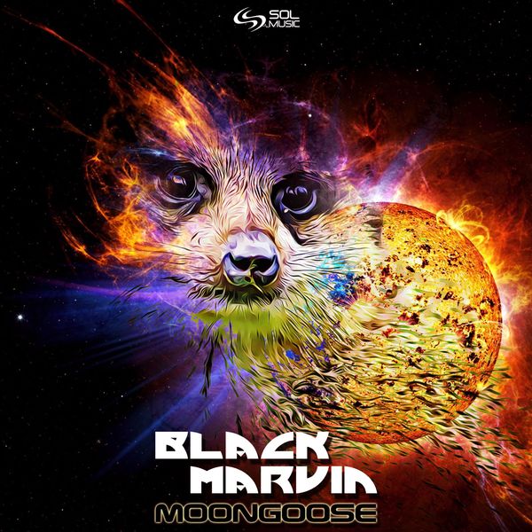 Black Marvin - Moongoose Black Marvin - Moongoose