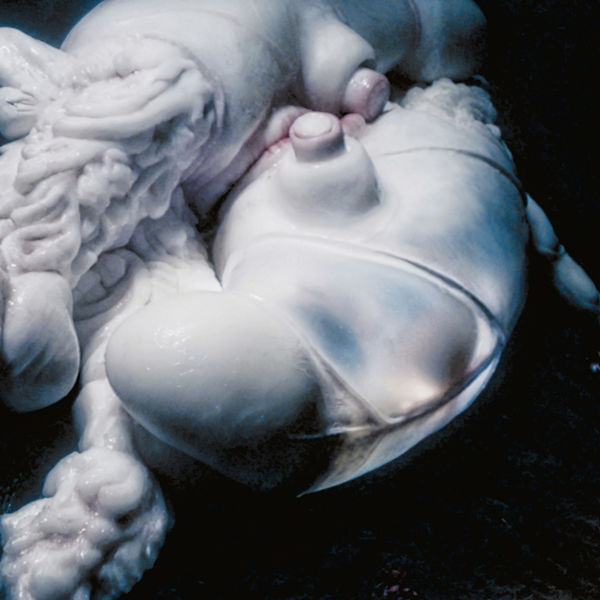 Björk|Arisen My Senses Björk|Arisen My Senses