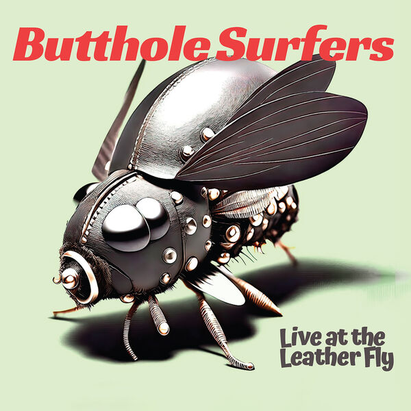 Live at the Leather Fly