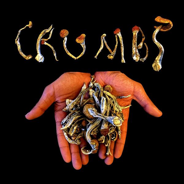 Bru Lei - Crumbs Bru Lei - Crumbs