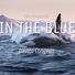 Davide Congedo IN THE BLUE |