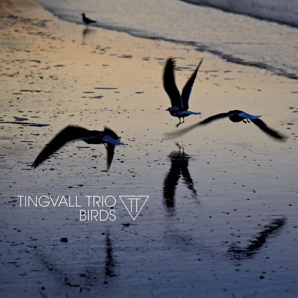 Tingvall Trio|Birds