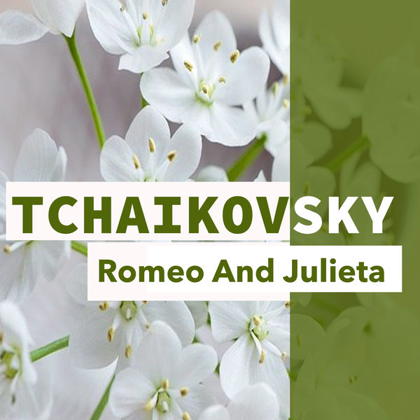 Orquesta Bellaterra - Tchaikovsky Orquesta Bellaterra - Tchaikovsky
