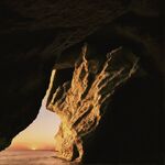 Danny L Harle Azimuth Divergence