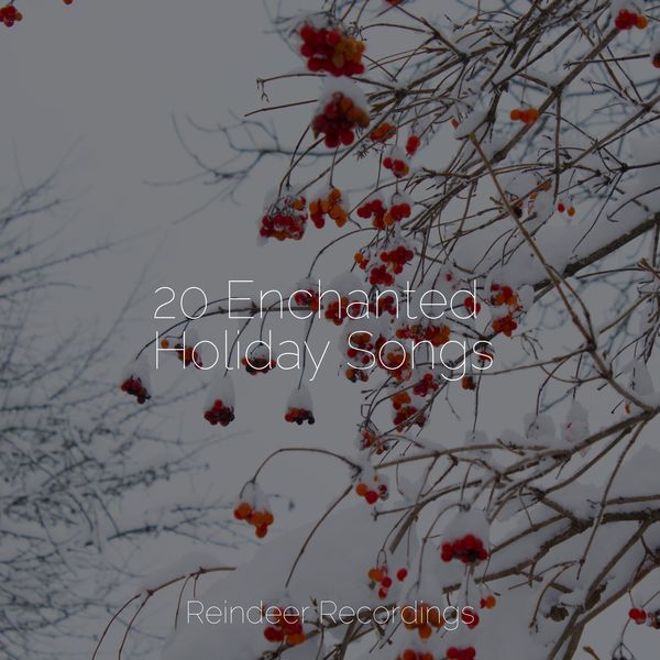 20 Enchanted Holiday Songs, Children's Christmas Songs - Qobuz