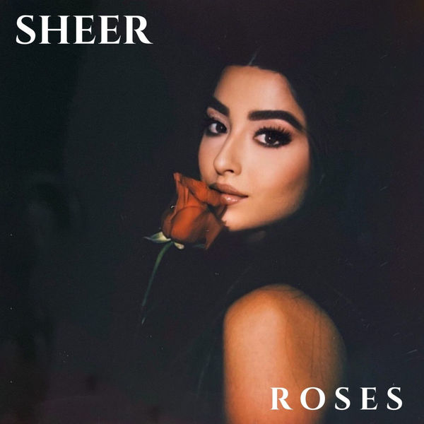 Sheer|Roses Sheer|Roses