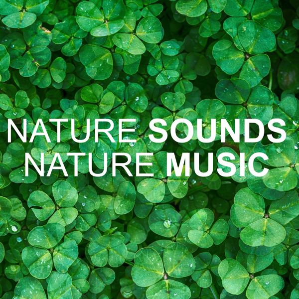 Nature Sounds Nature Music - Nature Sounds Nature Music Nature Sounds Nature Music - Nature Sounds Nature Music