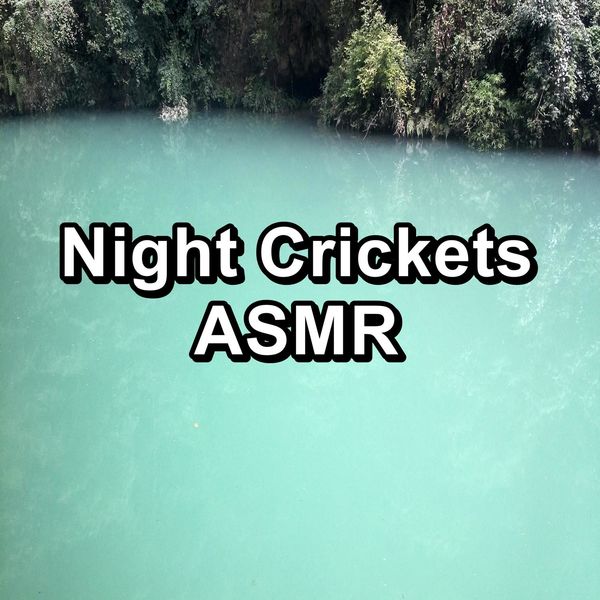 Night Crickets Asmr Paudio By Crickets Tinnitus Sleep Solution Qobuz