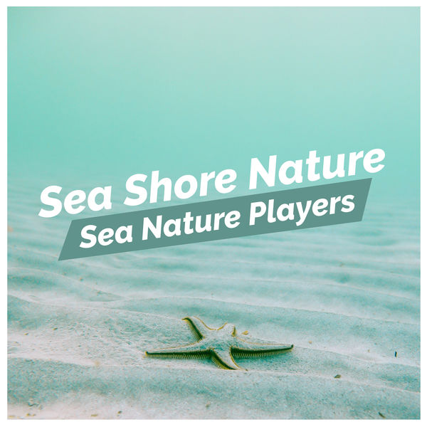Sea Nature Players - Sea Shore Nature Sea Nature Players - Sea Shore Nature
