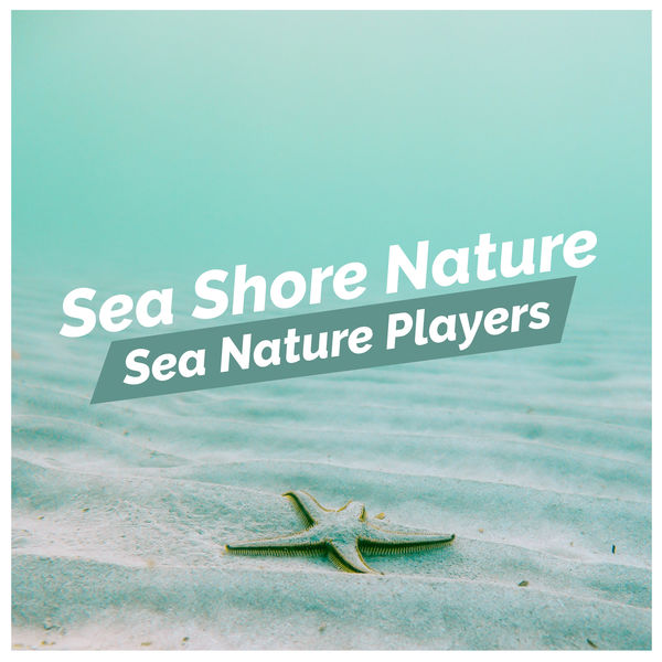 Sea Nature Players|Sea Shore Nature