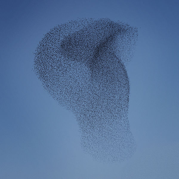 Matteo Myderwyk|Remembrance Matteo Myderwyk|Remembrance