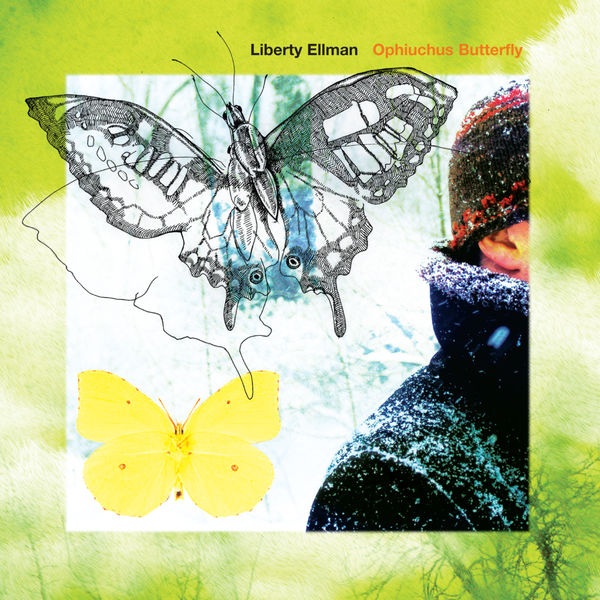 Liberty Ellman|Ophiuchus Butterfly Liberty Ellman|Ophiuchus Butterfly