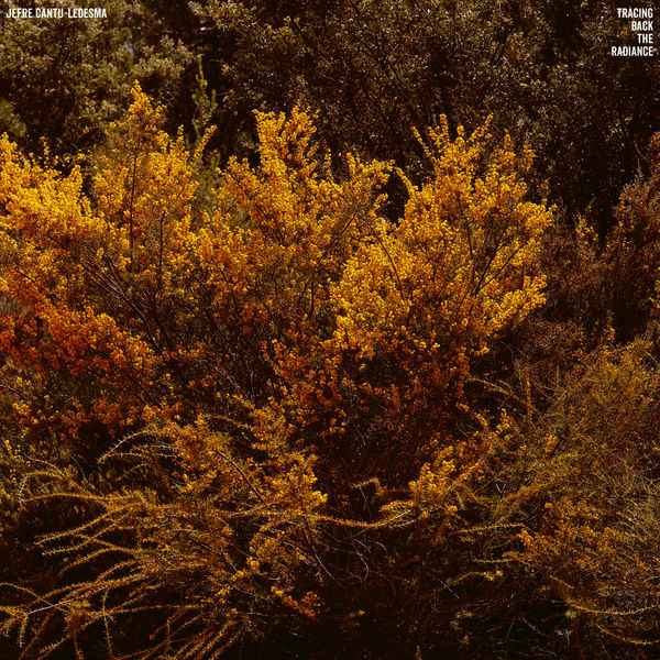 Jefre Cantu-Ledesma - Tracing Back The Radiance Jefre Cantu-Ledesma - Tracing Back The Radiance