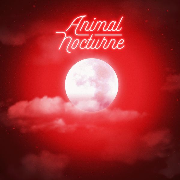 Scylla & Sofiane Pamart - Animal nocturne Scylla & Sofiane Pamart - Animal nocturne