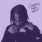B-Lovee Sorry 4 The Wait...