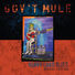 Gov't Mule Heavy Load Blues