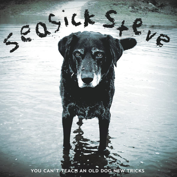 Seasick Steve - You Can't Teach An Old Dog New Tricks Seasick Steve - You Can't Teach An Old Dog New Tricks