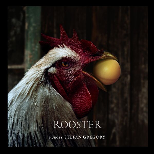 ルースターズ [ＩＮ　ＴＨＥ　ＭＯＴＩＯＮ] The Roosters(z) : 映像作品 (Page 7 